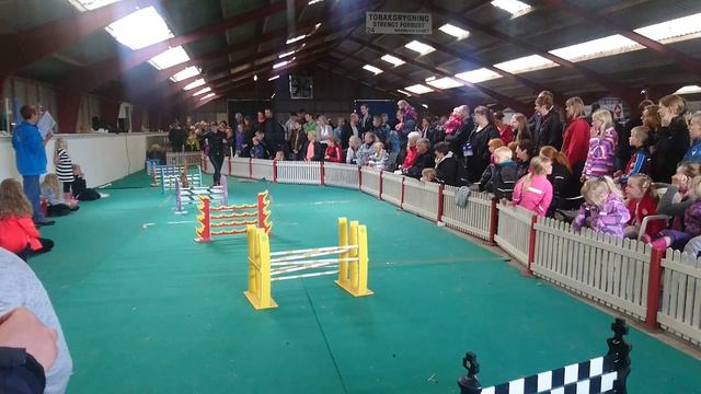 Stald Fuglsangs Blue Petunia смотреть онлайн