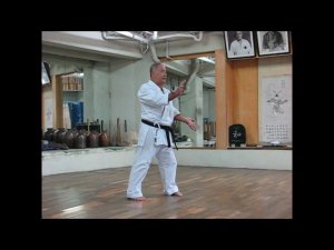 Goju Ryu karate-do. Sensei Morio Higaonna, Kata Suparinpei Peichurin Jo.
