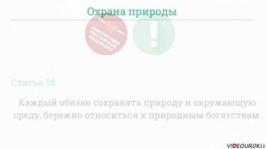Видеоурок по обществознанию _Конституционные обязанности гражданина России_.mp4