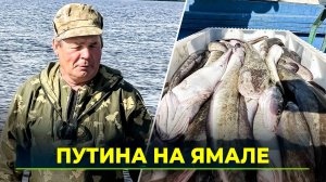 Аксарковские рыбаки добывают налима и ждут хода сырка