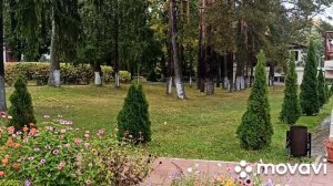 Еще несколько дней в санатории "Борок"