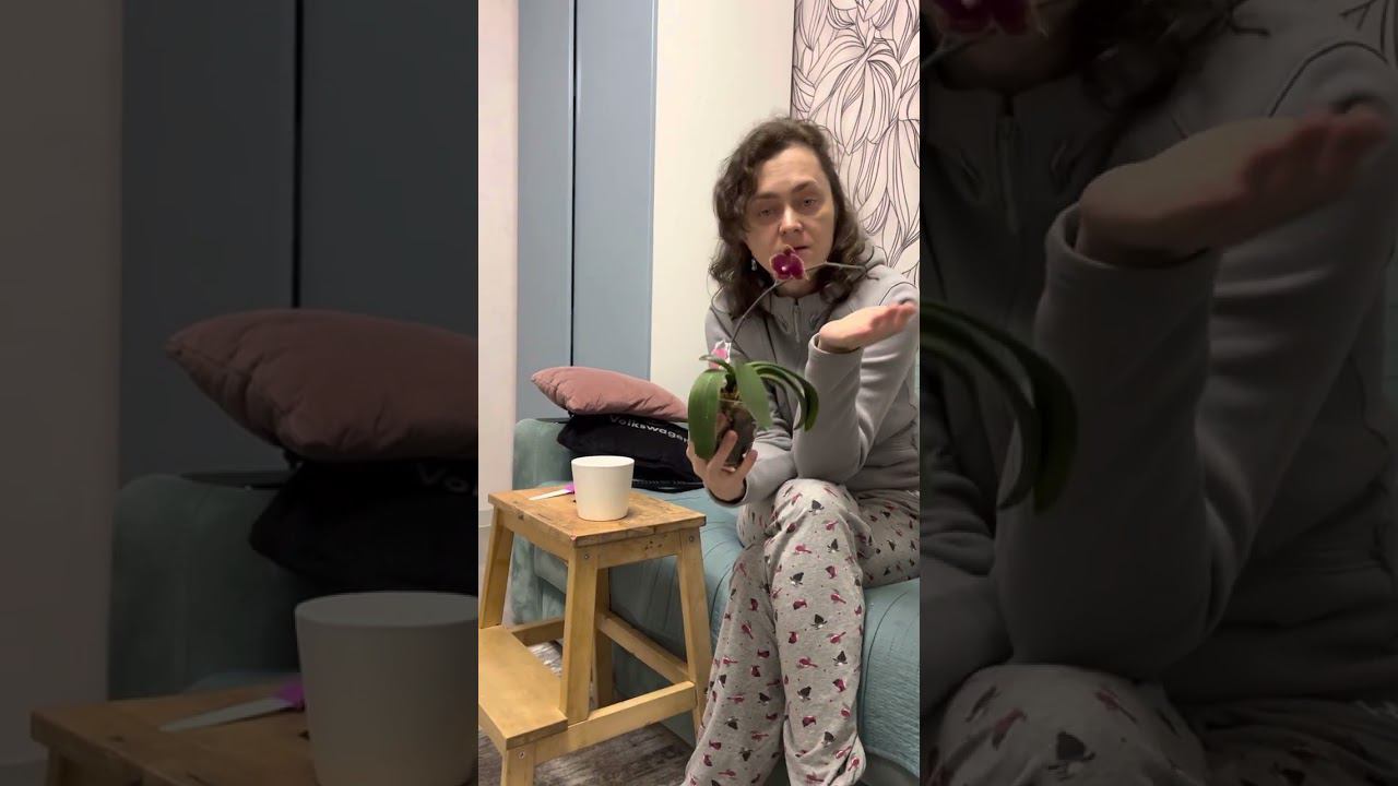 Горшки для орхидеи и что делать с отцветшим цветоносном.