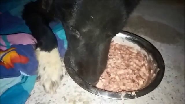 Очередной сеанс массажа Прогресс на лицо смотреть онлайн