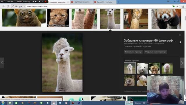 Гугл картинки #1" гусь" смотреть онлайн