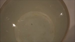 зимняя блесна клоп 30 мм