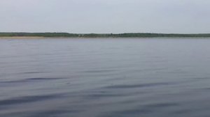 Шатура рыбалка после нереста