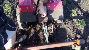 ??Окучивание картошки дисковыми окучниками 2 часть/Spudding potatoes with disc spudders part 2