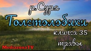 Русская Рыбалка 4 Где Клюет река Сура 04 12