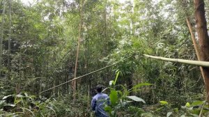 Workers come to chisel a wooden house and fill the pond with water to release ducks / Phuc and Sua