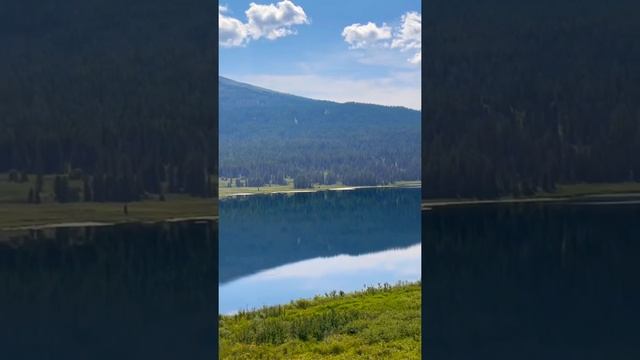 Природа Восточного Казахстана. Озеро Язевое. Kazakhstan. Nature. Summer