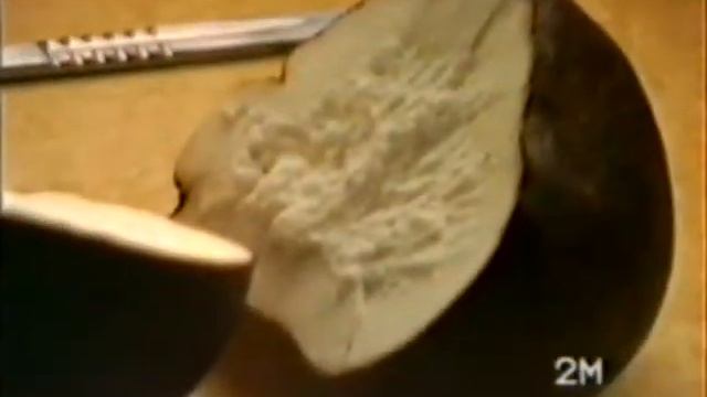 Puffball смотреть онлайн