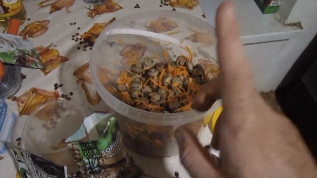 ОЧЕНЬ ВКУСНЫЕ ШАМПИНЬОНЫ ПО КОРЕЙСКИ!
