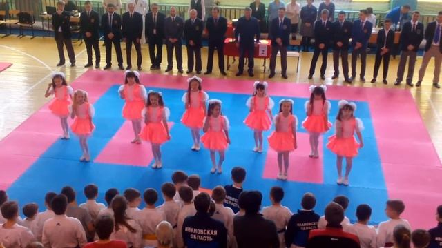 "Аллегро" на открытии турнира по каратэ 19/02/2017
