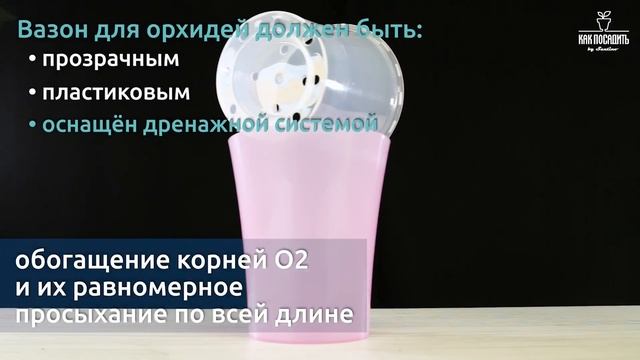 Для Орхидеи Кашпо для цветов Santino Arte-Dea смотреть онлайн