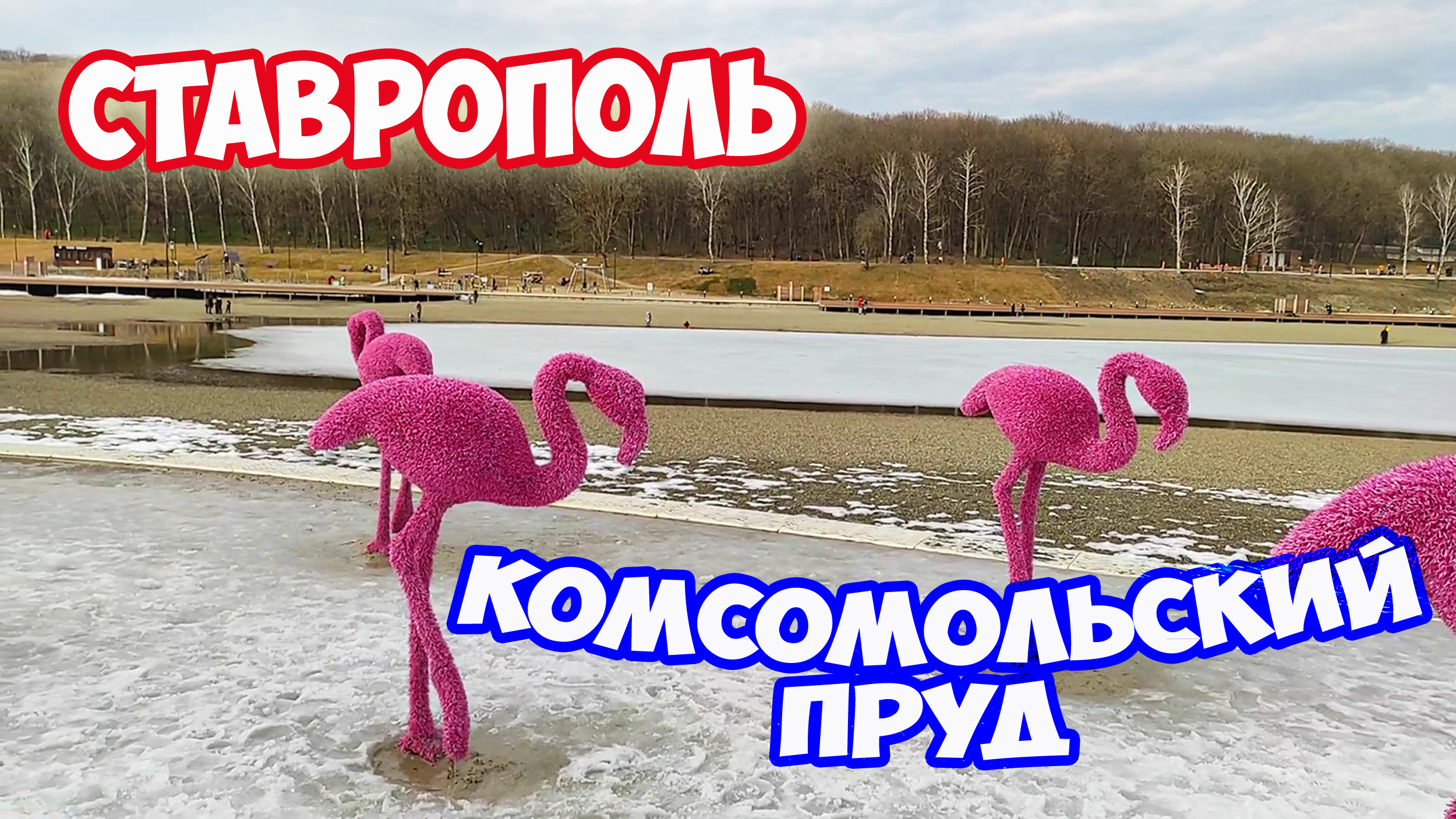 Комсомольский пруд Ставрополь Фламинго