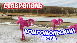 Где можно отдохнуть в Ставрополе. Комсомольский пруд в Ставрополе. Розовые фламинго на снегу