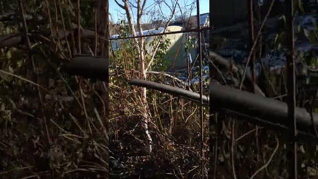 утепление роз задача смотреть онлайн