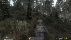 DayZ ЧИТЫ