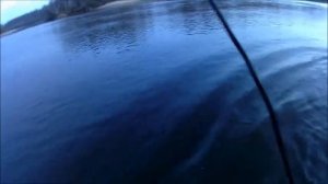 Рыбалка на Налима вот это Жор!