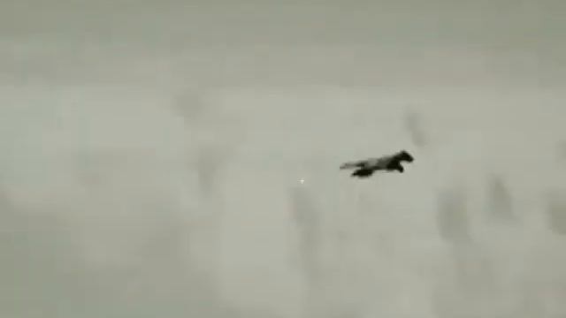 Охота ночью с помощью тепловизора! смотреть онлайн