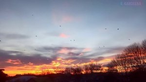 Рассвет 23.12.23г. Ессентуки