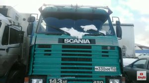 Жабуля капризуля!) Первый рейс, идём к успеху)!