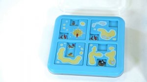 Логическая компактная настольная игра "Пираты. Роза ветров" Smart Games Bondibon