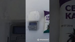 Выгонка тюльпанов   ,подкормка тюльпанов.