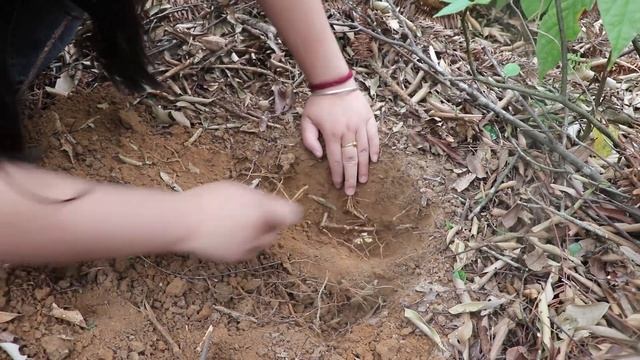 How do volcanic gold nuggets form and how to mine gold mines смотреть онлайн