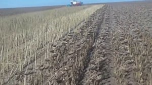 Пакатушки на векторе 410