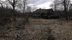 Поездка на Ниве за дровами