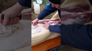 разделка свиной туши