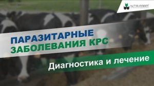 Паразитарные заболевания КРС. Диагностика и лечение