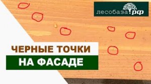 Черные точки на фасаде дома - как бороться Лесобаза.РФ
