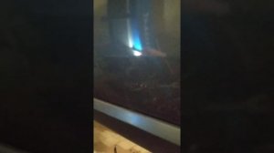 Замена ступицы ОПЕЛЬ ВЕКТРА, И РЯДЕ ОПЕЛЕЙ.