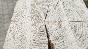 Как построить деревянный дом или сруб бани без трещин? Простой способ избежать растрескивания бруса