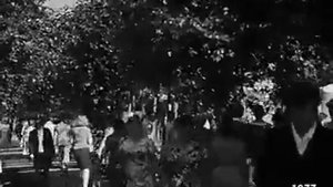 1977 год. Деревянная сказка Тюмени