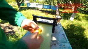 Вальцы для прокатки матрицы для вощины