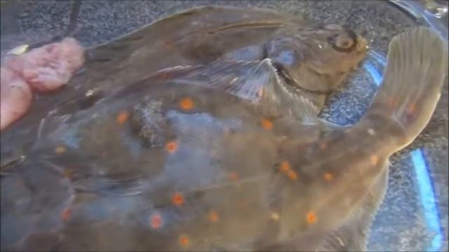 Диетическое питание. часть 6-7 смотреть онлайн