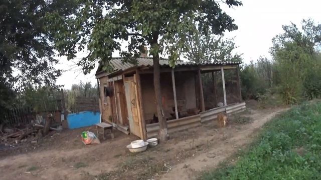 Едет в Москву//Компостный ящик//Сажаю ежевику//Убрала помидоры//ЖИЗНЬ В ДЕРЕВНЕ смотреть онлайн