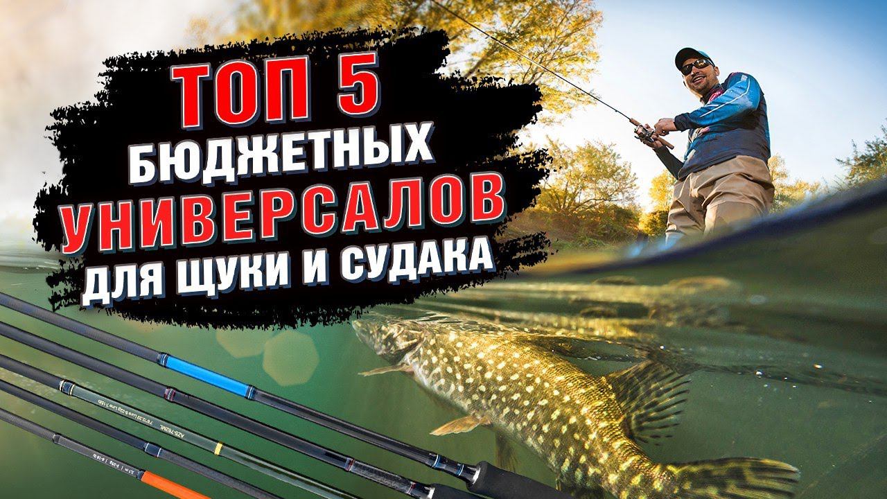 Топ 5 бюджетных универсальных спиннигов на судака и щуку! смотреть онлайн