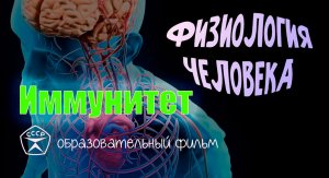 Иммунитет.