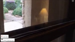 Спа-отель на Мертвом море в Иордании. Movenpick Dead Sea.