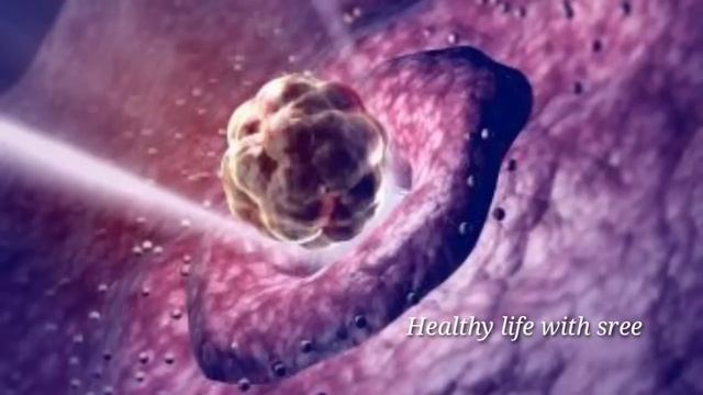 best five foods for Ovulation in tamil | fast pregnancy tips in tamil | ovulation symptoms in tamil смотреть онлайн