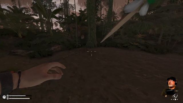 🔴Green Hell Spirits of Amazonia Multiplayer part two final | XBOX смотреть онлайн