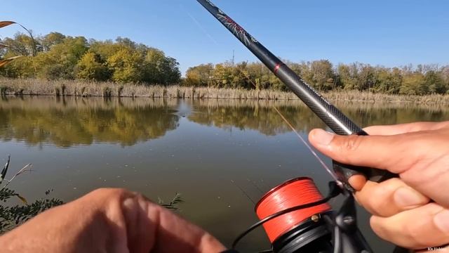 Осенняя рыбалка на сазана, оснастка флэт-фидер тут рыбы много и хороший клёв Flat-Method Feeder смотреть онлайн