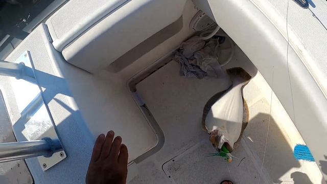 Doctor's House (err Boat) Call Results in Giant Fluke! смотреть онлайн