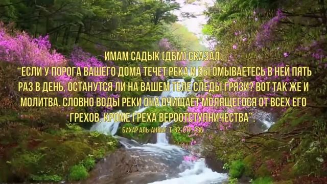 Мудрые слова,хадис(молитва очищает)изречения имама Садыка(ДБМ). смотреть онлайн