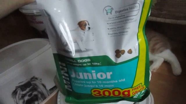 Royal Canin призы и халява! смотреть онлайн