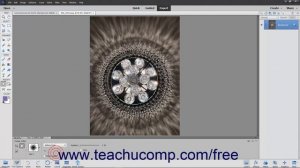 Learn How to Use the Cookie Cutter Tool in Adobe Photoshop Elements 2022: A Training Tutorial